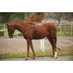 Chambón con poleas Norton