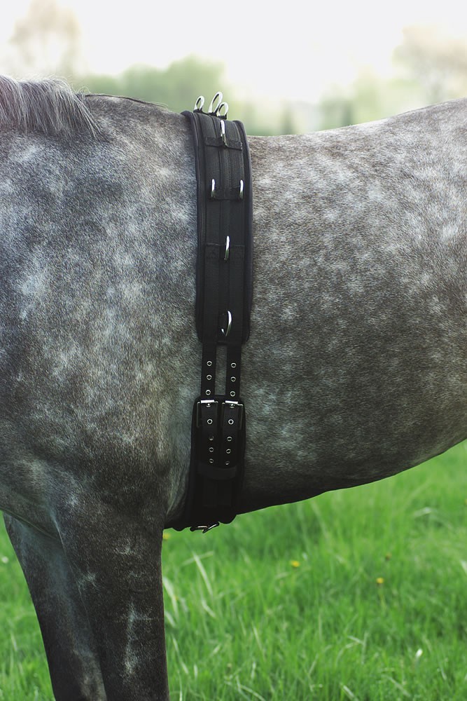 Cinchuelo de trabajo...