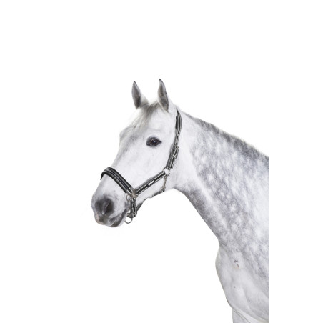 Cabezada Eskadron con hebilla