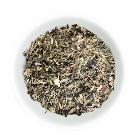 Ortiga Planta Hilton Herbs