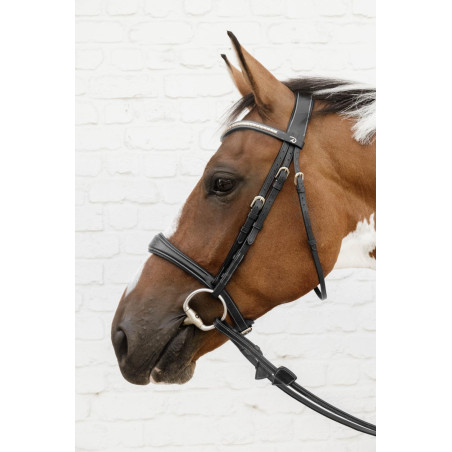 Muserola Anatómica sin Barbada Inferior D Collection Dy'on