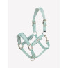 Cabezada LeMieux Versailles - Aqua