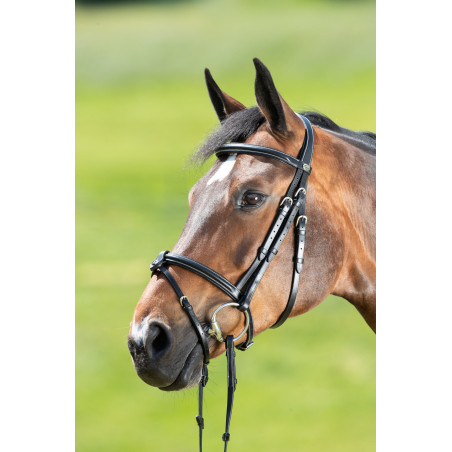 Brida anatómica HFI