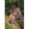 Bridon Mexicano HFI - Castaño