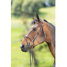 Bridon Técnico HFI - Castaño