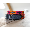 Collar para perro Polo HFI - Negro / naranja / rosa