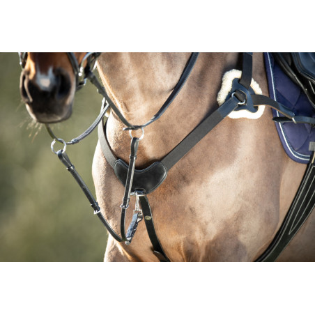 Pechopetral de 5 puntos HFI