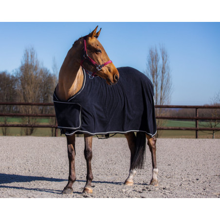 Manta Polar Show HFI