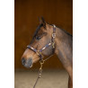 Cabezada HFI Polo - Marrón / marino / oro