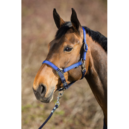 Cabezada de nailon HFI