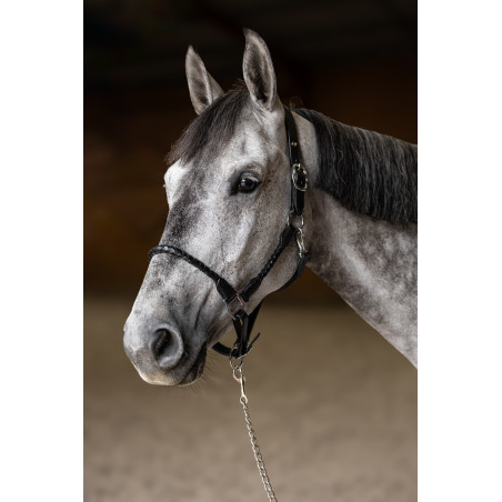 Cabezada trenzada HFI