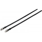 Correas de espuelas Riding World Couronne