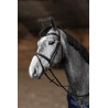 Kombiniertes Trensenzaum Painted HFI Master - Negro
