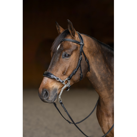 Hackamore HFI Master brida