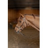 Hackamore HFI Master brida - Castaño