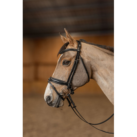 Brida Pull-back Verona HFI Master Pro Line