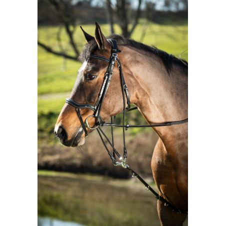 Gogue de cuero HFI Master