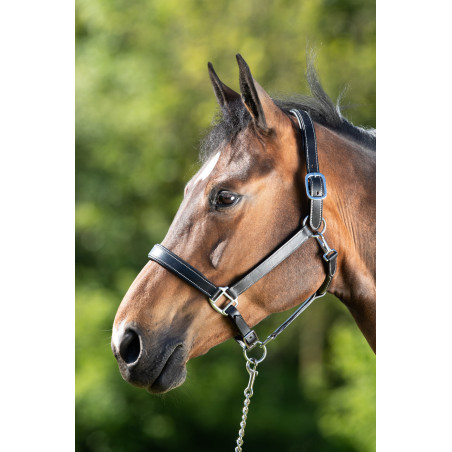 Cabezada de cuero HFI Master cuero doble ajuste