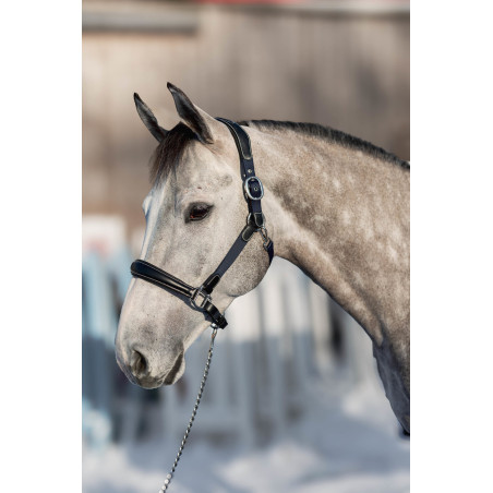 Cabezada de cuero y nailon Mixed HFI Master