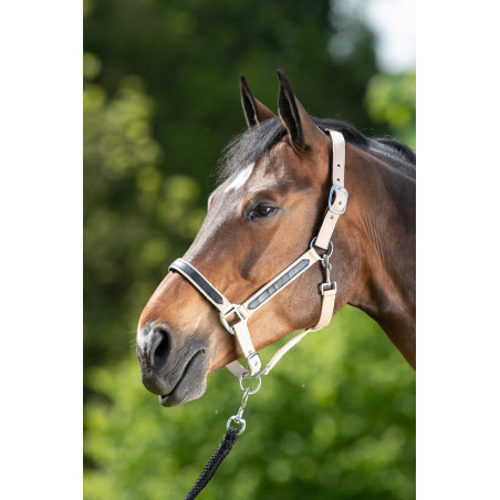 Cabezada First nylon HFI Master