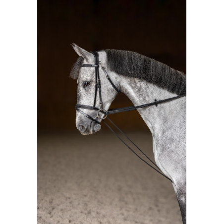 Riendas alemanas HFI Master cuero cuerda