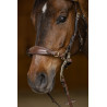 Set Muserola Gourmette Hackamore HFI Master - Castaño