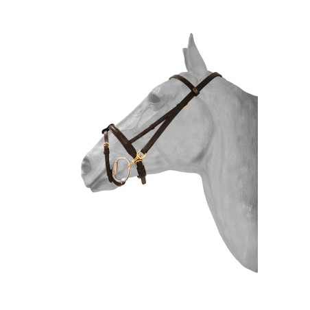 Cabezada de presentación con mosquetón HFI