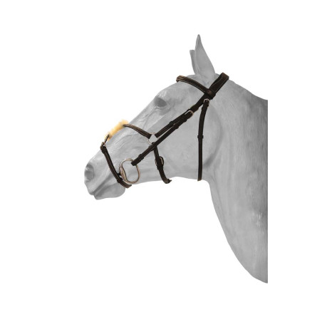 Brida con muserola mexicana HFI