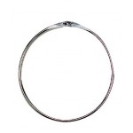 Anilla de presentación