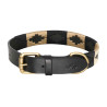 Collar para perro HV Polo Chaya - Negro / dorado