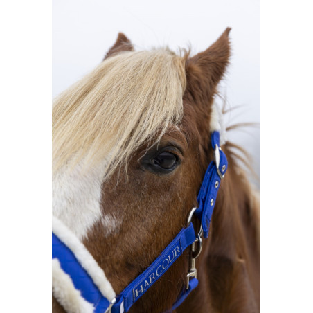 Cabezada y ramal Harcour Teschic