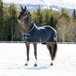 Manta de cuadra Theo Thermo B Vertigo