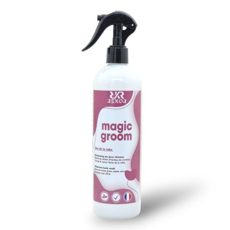 Champú seco Rekor Magic Groom