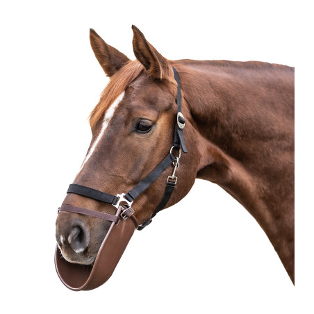 Bavetilla Waldhausen