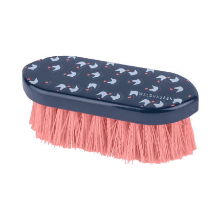 Cepillo de cerda dura Waldhausen Lucky