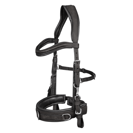 Cavezón Waldhausen de cuero anatómico