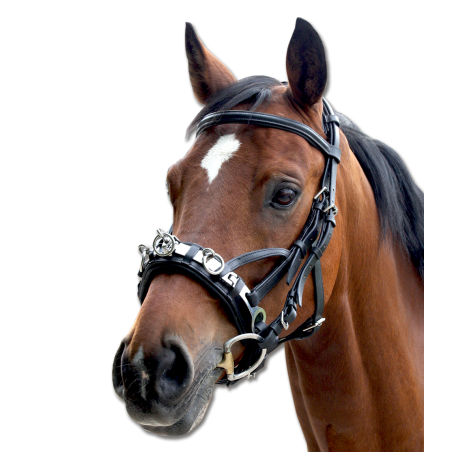 Cavezón de cuero Waldhausen