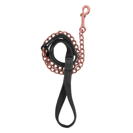 Cadena de presentación Waldhausen Soft