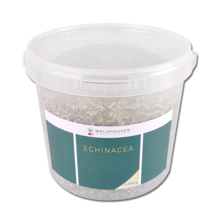 Equinácea Waldhausen