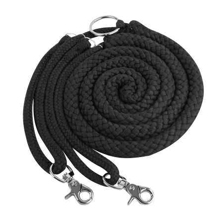 Enrénamiento especial Waldhausen