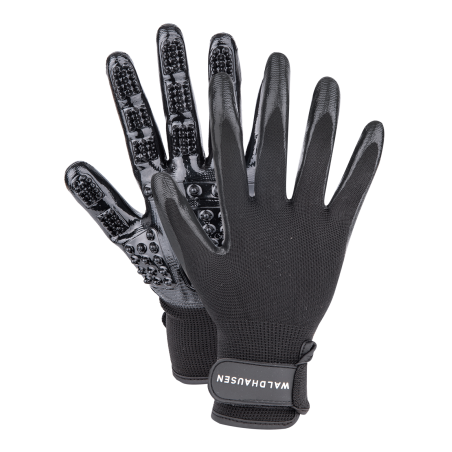 Guante de cepillado Waldhausen