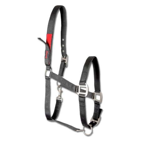 Cabezada de seguridad Waldhausen