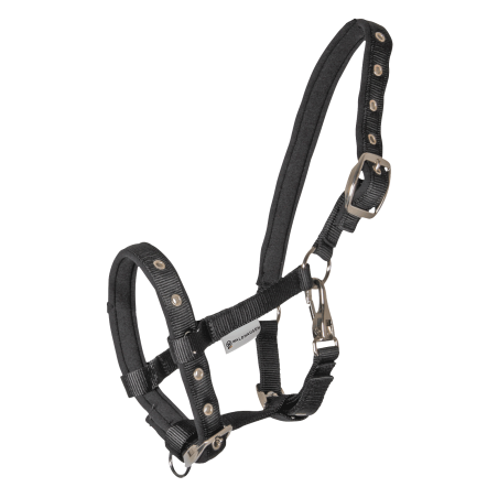 Cabezada Potro Waldhausen Confort