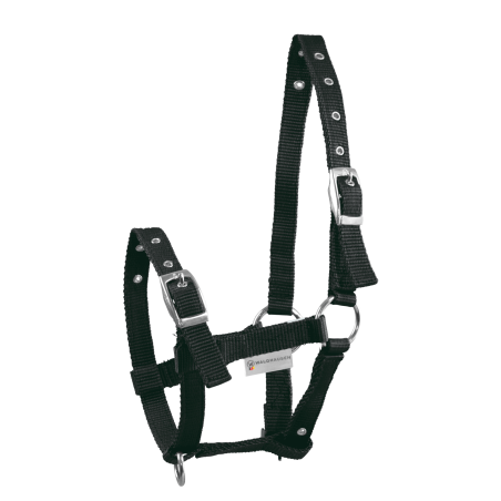 Cabezada Potro Waldhausen Triple