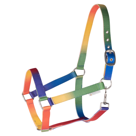 Licol Waldhause Arc-en-ciel