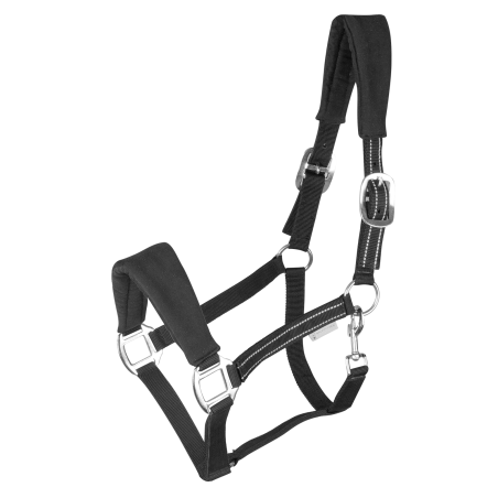 Cabezada Waldhausen Alcantara