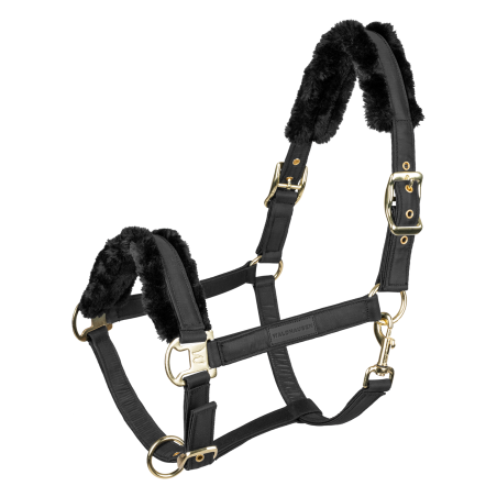 Cabezada Waldhausen Exclusive