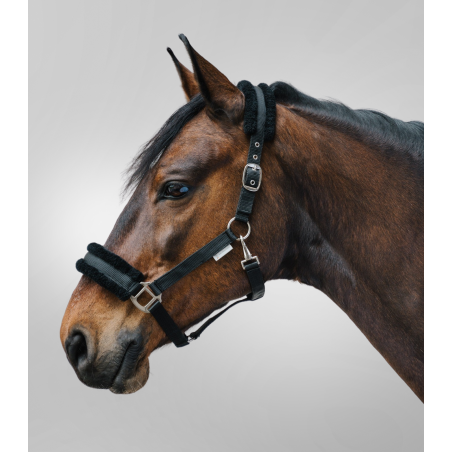 Cabezada Waldhausen First