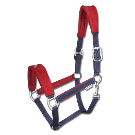 Cabezada Waldhausen Island Hellnar