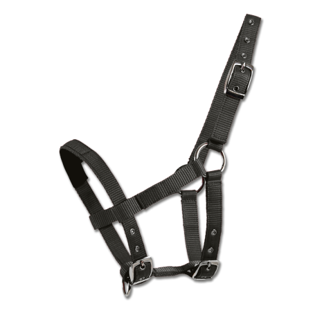 Cabezada Waldhausen Mini-Shetland